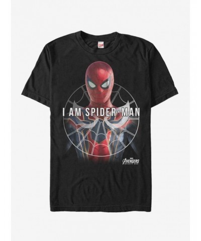 Marvel Spider-Man Named Spider-Man T-Shirt $6.31 T-Shirts